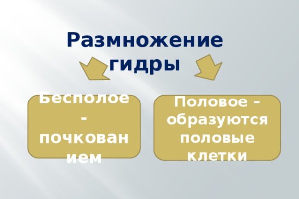 Как попасть на кракен